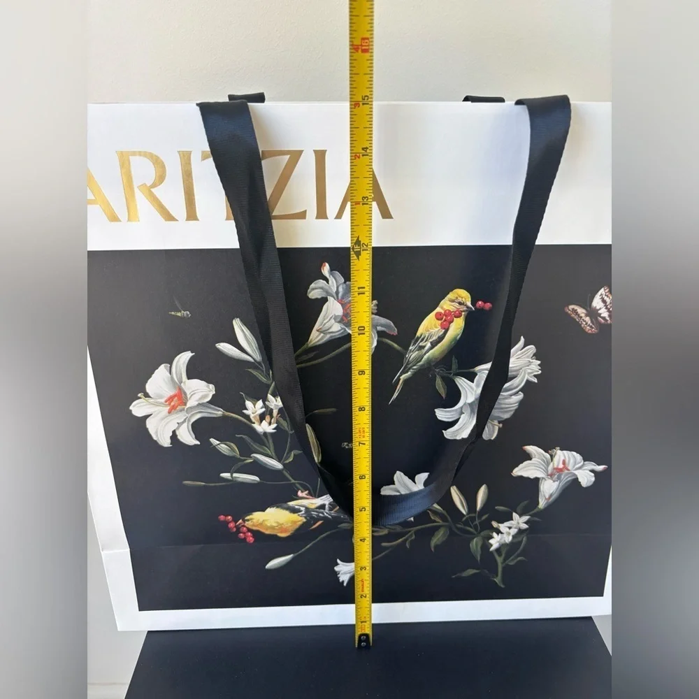 Aritzia shopping bag